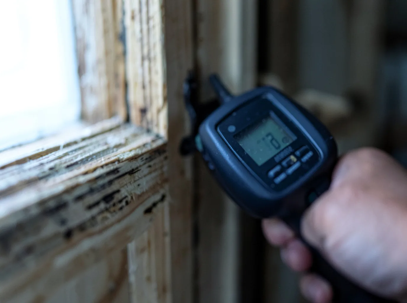 Moisture Inspection And Documentation in Hingham, WI
